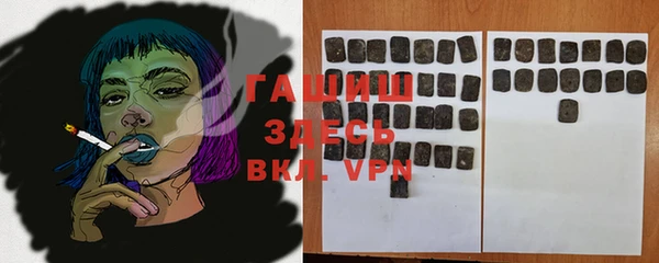 apvp Инта