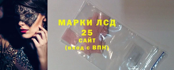 apvp Инта