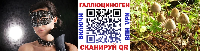 Купить  Азов  Галлюциногенные грибы мухоморы 